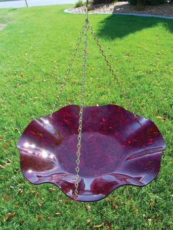 Birds Choice Hanging Acrylic BirdBath Hanging Bird Baths 4 Birds Choice Hanging Acrylic BirdBath Hanging Bird Baths