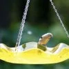 Birds Choice Hanging Acrylic BirdBath Hanging Bird Baths