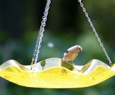 Birds Choice Hanging Acrylic BirdBath Hanging Bird Baths 3 Birds Choice Hanging Acrylic BirdBath Hanging Bird Baths