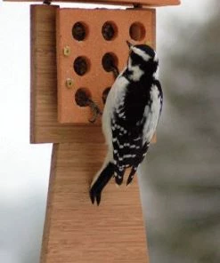 Amaranth Stoneware Suet Feeders Bamboo & Stoneware Tail Prop Suet Feeder