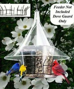 The Birdhouse Chick Squirrel-Proof Feeders Dove Guard For Sky Cafe Bird Feeders