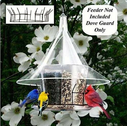 The Birdhouse Chick Squirrel-Proof Feeders Dove Guard For Sky Cafe Bird Feeders 3 The Birdhouse Chick Squirrel-Proof Feeders Dove Guard For Sky Cafe Bird Feeders