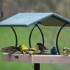 Birds Choice Large Fly-Thru Platform Feeder - Recycled Plastic 1 Birds Choice Large Fly-Thru Platform Feeder - Recycled Plastic