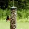 Birds Choice Shelled Peanut Feeder Peanut Feeders 2 Birds Choice Shelled Peanut Feeder Peanut Feeders