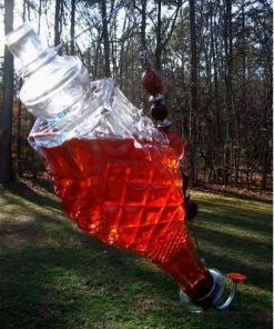 Borderline Cut Glass Hummingbird Feeder