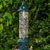 Brome Bird Care Squirrel Buster Plus With Optional Weather Guard Squirrel-Proof Feeders