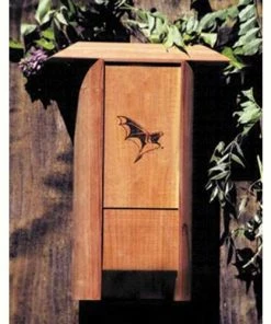 Schrodt Bat Colony Bat House Bat Houses