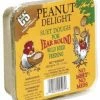 C&S No Melt Peanut Delight Suet Dough Specialty Foods & Mealworms 1 C&S No Melt Peanut Delight Suet Dough Specialty Foods & Mealworms