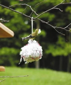 Birds Choice Nesting Materials & Roosts Cotton Nesting Ball