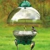 Droll Yankees Big Top Squirrel Proof Bird Feeder Squirrel-Proof Feeders 2 Droll Yankees Big Top Squirrel Proof Bird Feeder Squirrel-Proof Feeders