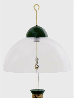Droll Yankees Squirrel Guard Dome 3 Droll Yankees Squirrel Guard Dome