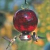 Parasol Dew Drop Ruby Red Hummingbird Feeder 2 Parasol Dew Drop Ruby Red Hummingbird Feeder