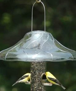 Aspects Hanging Weather Guard And Squirrel Baffle Squirrel Baffles & Weather Guards