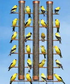 Songbird Essentials Thistle Feeders 3-Tube Copper Thistle Feeder