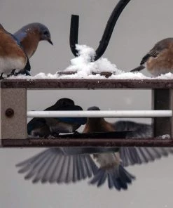 The Birdhouse Chick Recycled Birdhouses Gilbertson Hanging Bluebird Feeder