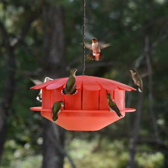 The Birdhouse Chick Humm-Bug Protein Hummingbird Feeder Hummingbird Feeders 3 The Birdhouse Chick Humm-Bug Protein Hummingbird Feeder Hummingbird Feeders