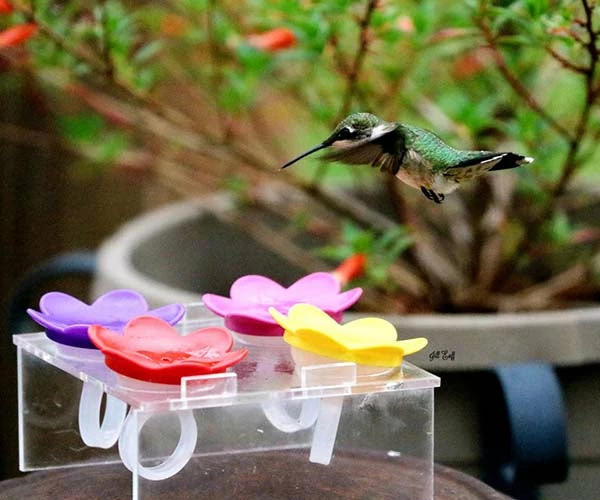 The Birdhouse Chick Hummer Ring Kit 8 The Birdhouse Chick Hummer Ring Kit