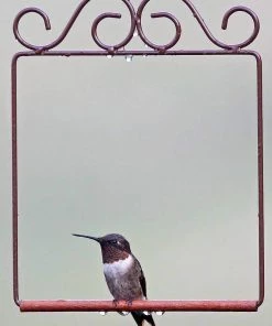 Hummingbird Feeders Pop's Hummingbird Swing 6 Hummingbird Feeders Pop's Hummingbird Swing