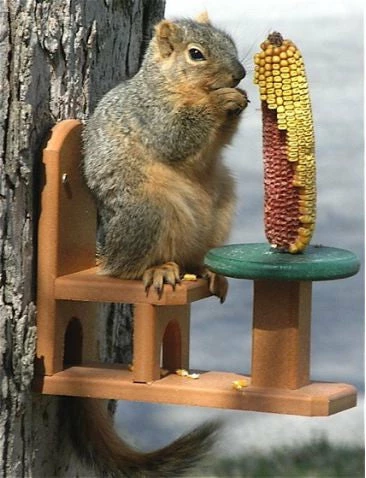 Songbird Essentials Table And Chair Squirrel Feeder - Recycled Plastic Recycled Birdhouses 3 Songbird Essentials Table And Chair Squirrel Feeder - Recycled Plastic Recycled Birdhouses