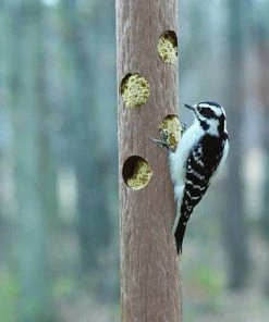 Birds Choice Suet Log Bird Feeder-Recycled Plastic