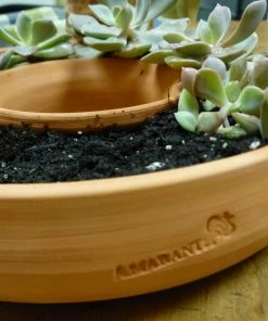 The Birdhouse Chick Living Wreath Planter 7 The Birdhouse Chick Living Wreath Planter