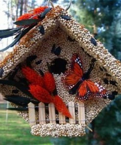 Mr. Bird Casita Edible Birdhouse Unique Birdhouses