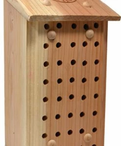 Songbird Essentials Mason Bee Lodge Bees & Insects