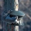 Heritage Farms Metal Squirrel Diner Post Mount Feeder