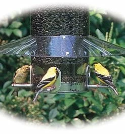 Birds Choice Weather Guard For Classic Bird Feeders Squirrel-Proof Feeders