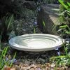 Wildlife World Deck & Ground Bird Baths Oasis Step Bath And Drinker 1 Wildlife World Deck & Ground Bird Baths Oasis Step Bath And Drinker