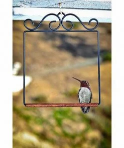 Hummingbird Feeders Pop's Hummingbird Swing 7 Hummingbird Feeders Pop's Hummingbird Swing