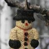 Pine Tree Farms Big Snow Man BirdSeed Treat Specialty Foods & Mealworms 1 Pine Tree Farms Big Snow Man BirdSeed Treat Specialty Foods & Mealworms