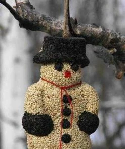 Pine Tree Farms Big Snow Man BirdSeed Treat Specialty Foods & Mealworms