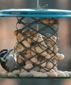Birds Choice Peanut In Shell Feeder