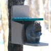Birds Choice Recycled Birdhouses Recycled Munch Box Squirrel Feeder