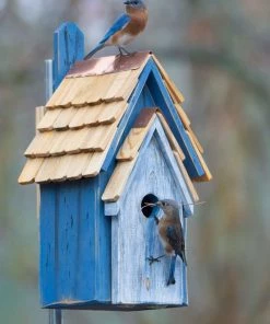 Heartwood Rustic Bluebird Manor 2 Colors