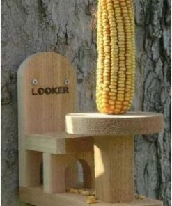 Songbird Essentials Table And Chair Squirrel Feeder-2