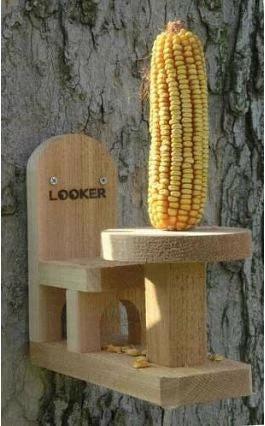 Songbird Essentials Table And Chair Squirrel Feeder-2 3 Songbird Essentials Table And Chair Squirrel Feeder-2