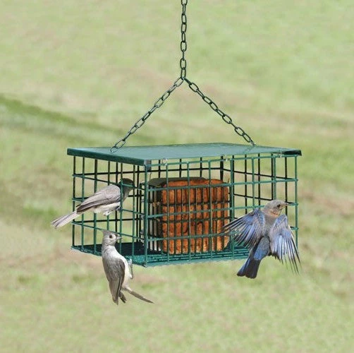 Songbird Essentials Squirrel-Proof Suet Feeder Suet Feeders 3 Songbird Essentials Squirrel-Proof Suet Feeder Suet Feeders