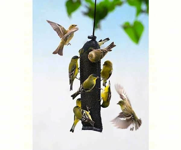 Songbird Essentials Thistle Feeders Finch Magic Thistle Sock - Jumbo 3 Songbird Essentials Thistle Feeders Finch Magic Thistle Sock - Jumbo