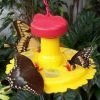 Songbird Essentials Butterfly Feeder With Nectar - Hang Or Pole Mount 2 Songbird Essentials Butterfly Feeder With Nectar - Hang Or Pole Mount