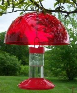 Songbird Essentials Dr. JB's Clean Hummingbird Feeder & Hummer Helmet