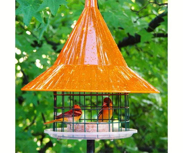 Arundale Sky Cafe Oriole Feeder Fruit, Jelly & Mealworm Feeders 3 Arundale Sky Cafe Oriole Feeder Fruit, Jelly & Mealworm Feeders