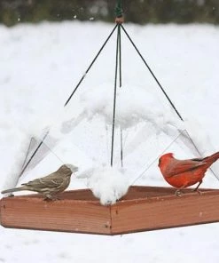 Songbird Essentials Super Tray Bird Feeder With Cover Unique Bird Feeders 5 Songbird Essentials Super Tray Bird Feeder With Cover Unique Bird Feeders