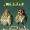 Willow Creek Press Just Sisters Gift Book