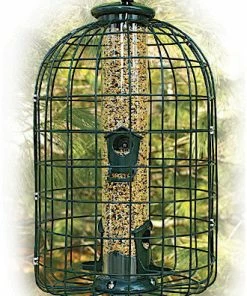 Woodlink Caged Squirrel Proof Bird Feeder- 2 Lb.