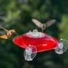 Droll Yankees Window Hummingbird Feeder Hummingbird Feeders