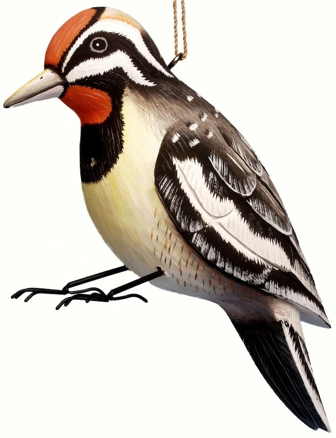 Bobbo Yellow-Belly Sapsucker Wood Birdhouse Unique Birdhouses 3 Bobbo Yellow-Belly Sapsucker Wood Birdhouse Unique Birdhouses