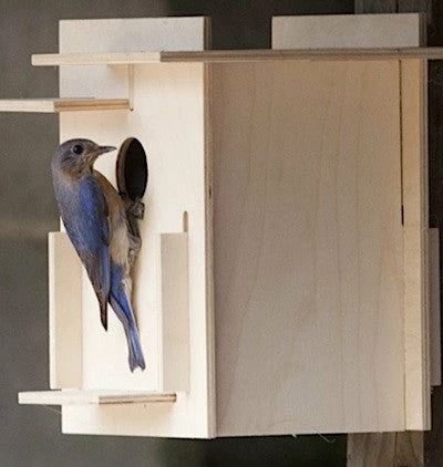 Box For Birds Birdhouse Kit- Modern Bluebird Houses 3 Box For Birds Birdhouse Kit- Modern Bluebird Houses