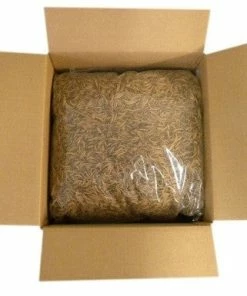 Unipeck Dried Mealworms-Bulk Options Bluebird Feeders